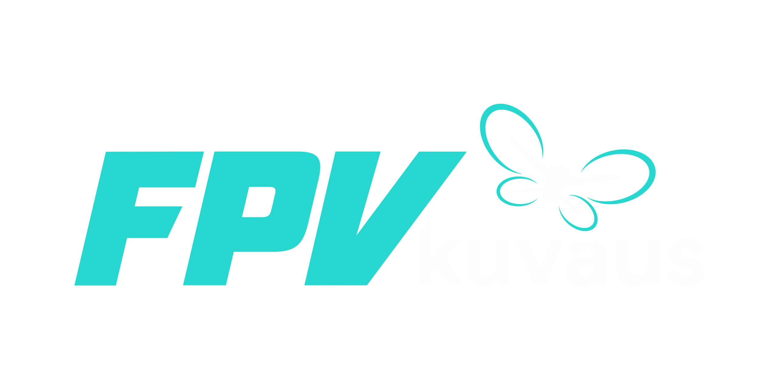 FPVkuvaus